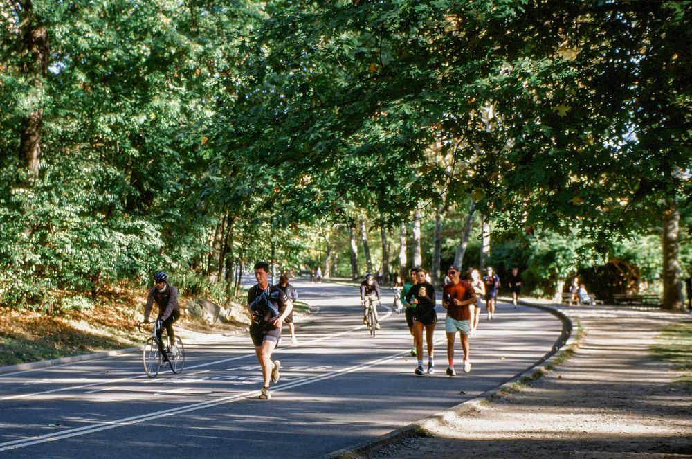 People jogging and walking along a tree-lined path in a park on a sunny day.