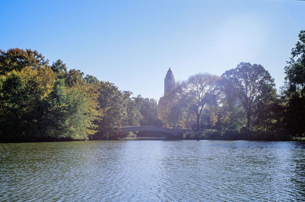Tranquil lake view with trees and building silhouettes against a bright sky.