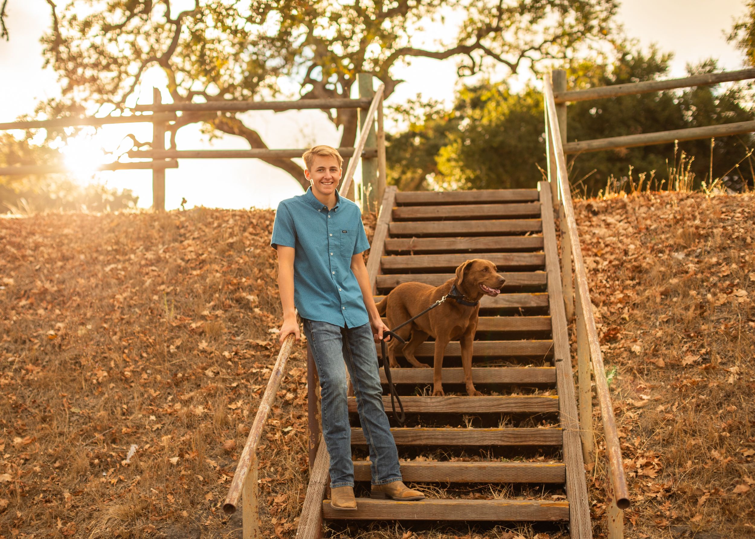 Person and brown dog stand on wooden stairs during golden sunset.