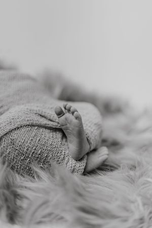 Close-up black and white photo of tiny baby feet wrapped in a knitted blanket on soft furry texture.
