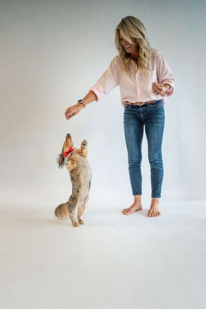 Woman in pink blouse and jeans trains a dachshund wearing a red bow tie to stand on hind legs in a studio.