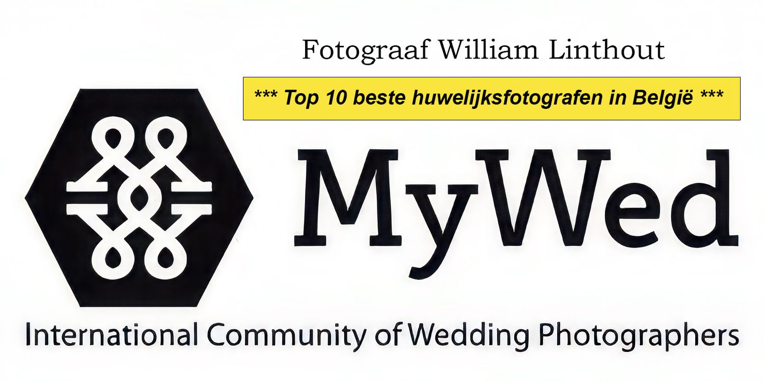 A logo for MyWed International Community of Wedding Photographers featuring a geometric symbol.