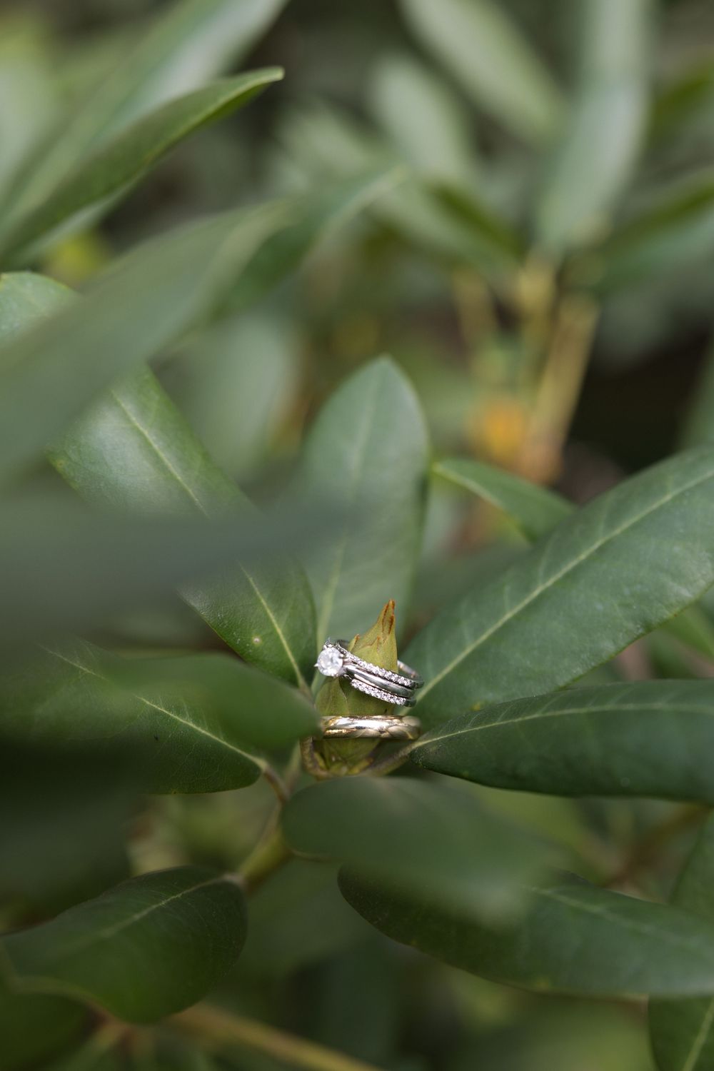 Wedding photos - Pennsylvania