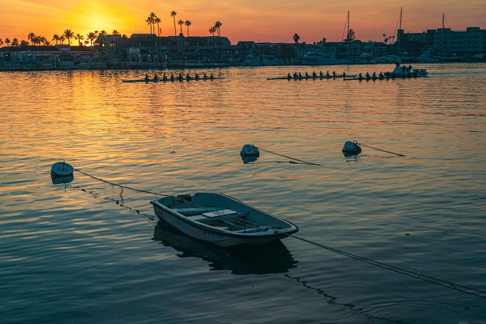 A small boat floats in calm harbor waters during golden sunset with palm trees and pier silhouetted in the background.