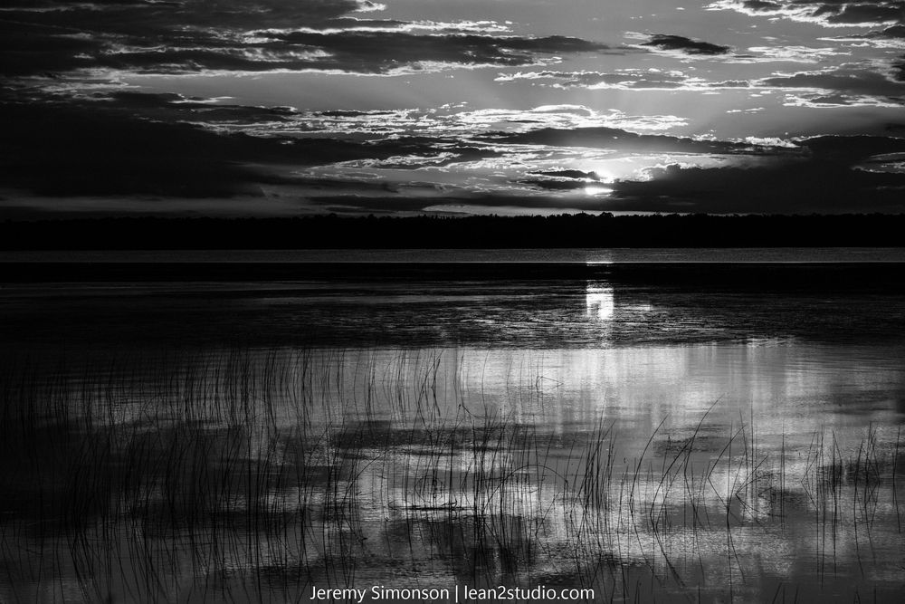 A dramatic black and white panoramic landscape shows a lake at sunset with reeds in the foreground and clouds above.