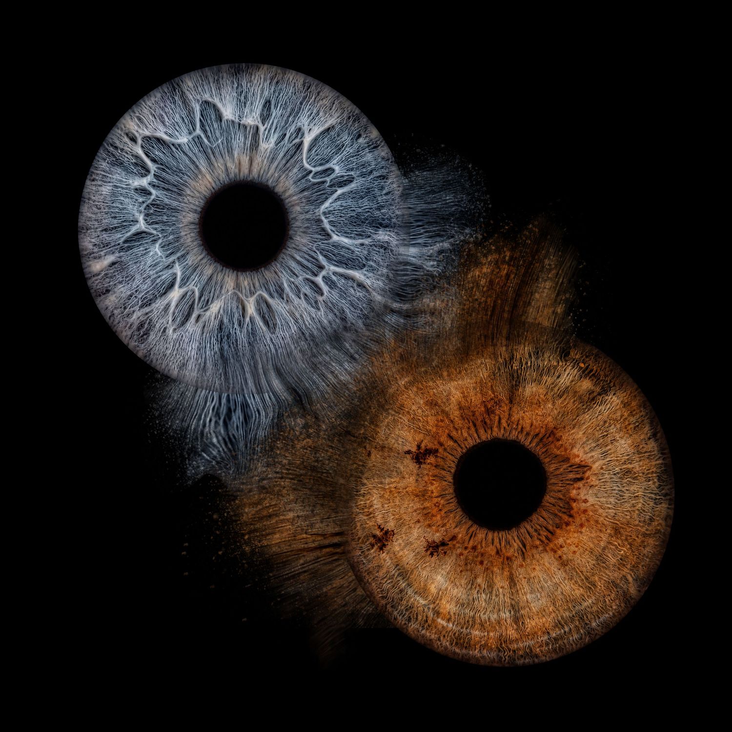 Close-up macro photograph of a light blue human iris with golden flecks surrounding a black pupil on dark background.