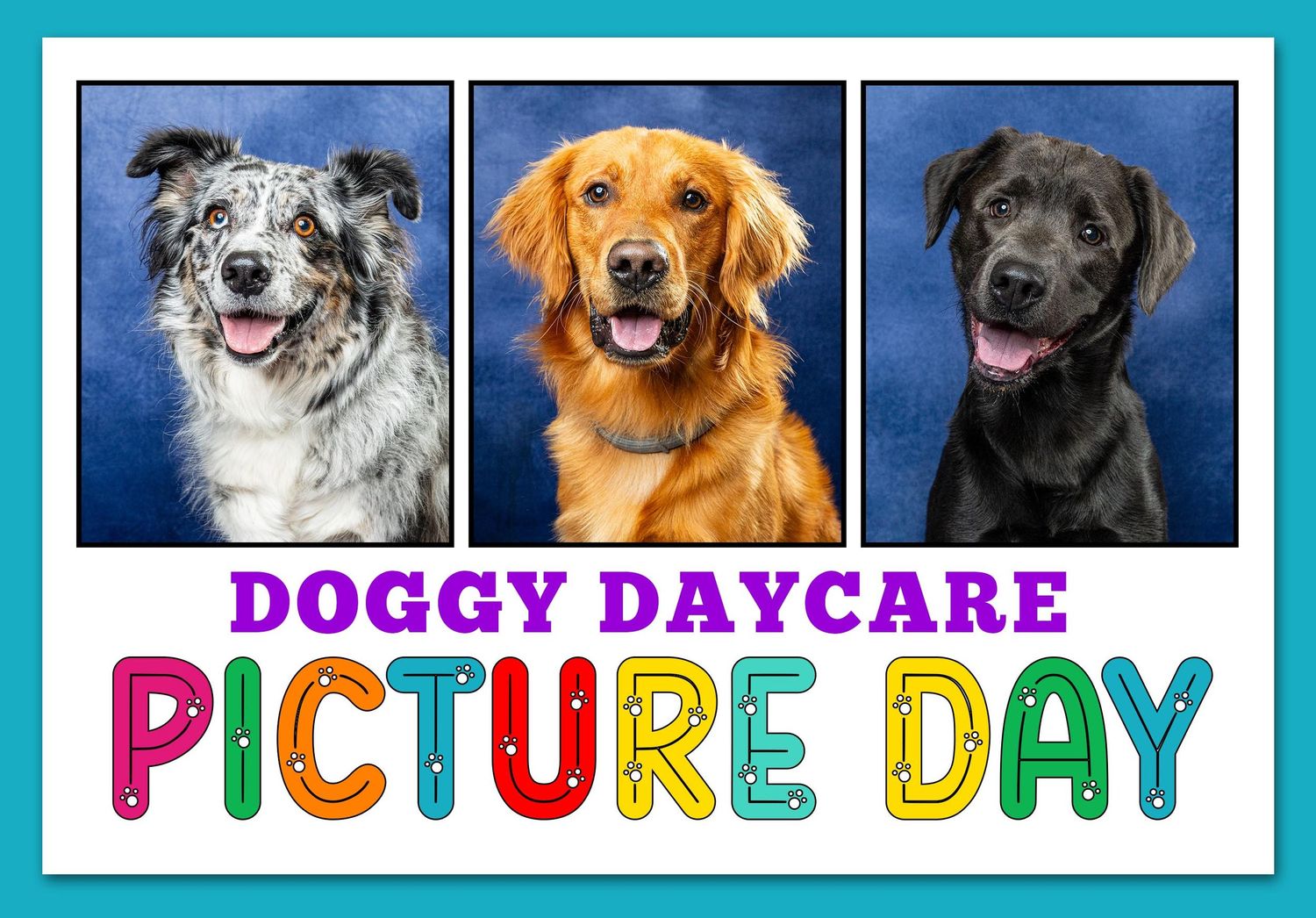 A collage of happy dogs with colorful text reading 'Picture Day' showing various breeds smiling at the camera.