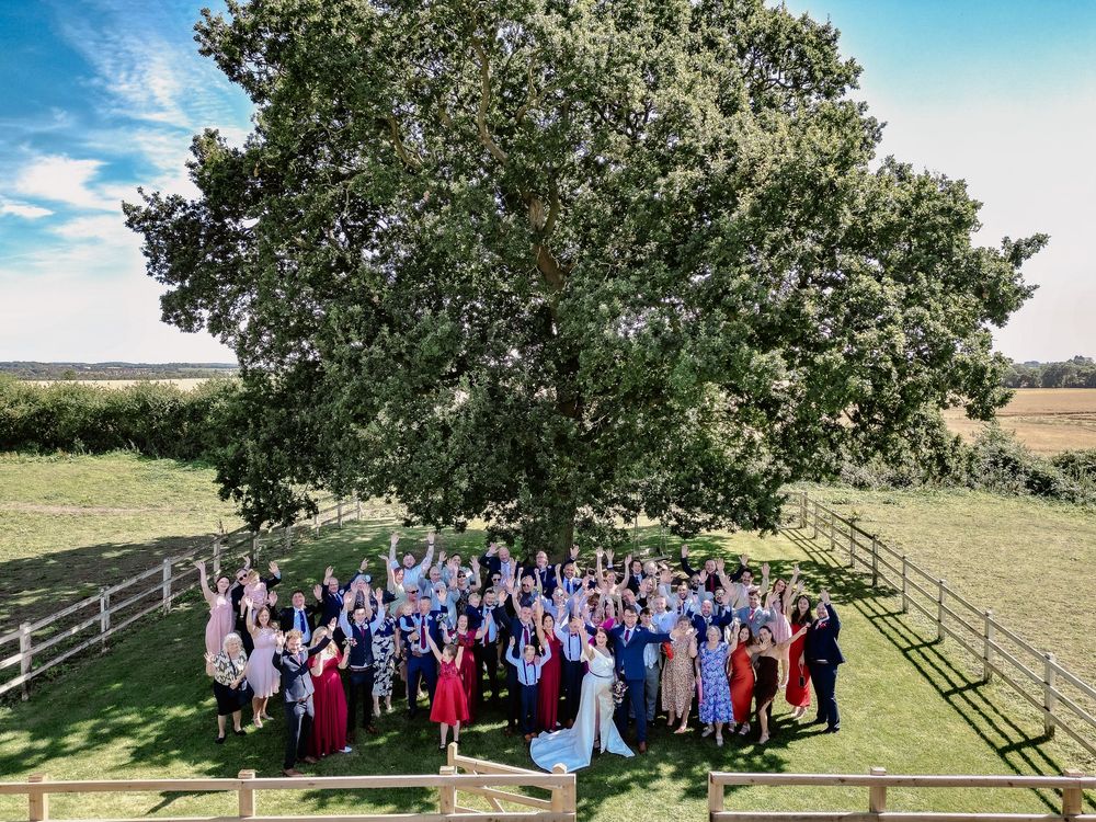 Large group gathered under a sprawling oak tree for an outdoor celebration event.