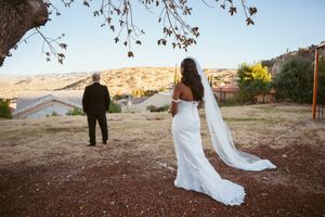 Wedding scene with flowing white dress and veil against scenic desert backdrop.