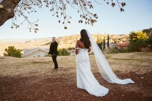 Wedding couple poses in desert landscape with flowing veil and mountains in background.