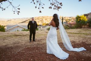 Bride in flowing white gown and veil stands in desert landscape during first look.