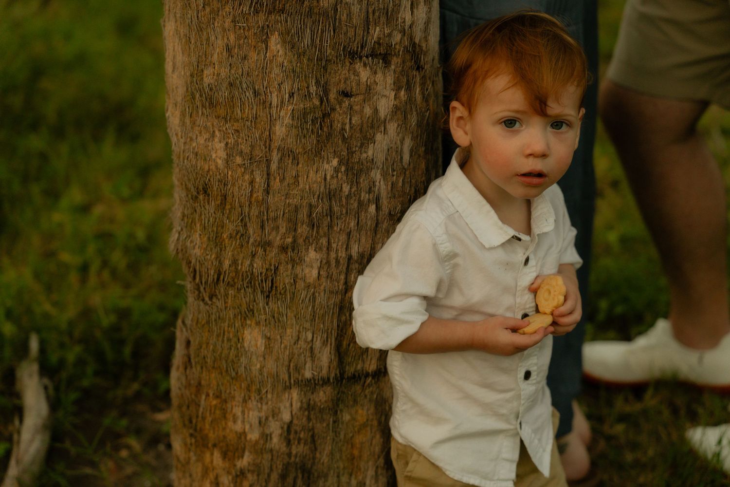A small child in a white button-down shirt stands near a tree trunk while holding something in their hand.