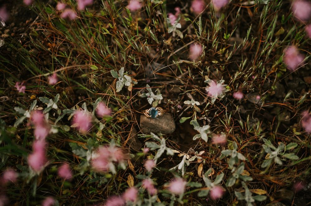 Close-up of engagement ring on textured rock with soft floral background at Comox Lake
