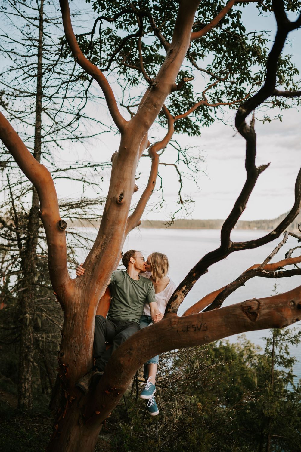 Couple sitting in arbutus tree with Comox Lake in background by the bluffs fun moment on Vancouver Island for engagement photography session