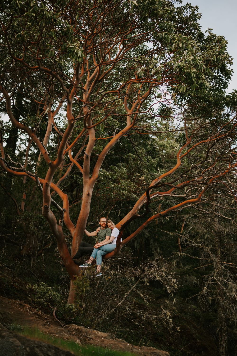 Couple sitting in arbutus tree with forest in background, peaceful moment on Vancouver Island for engagement photography session