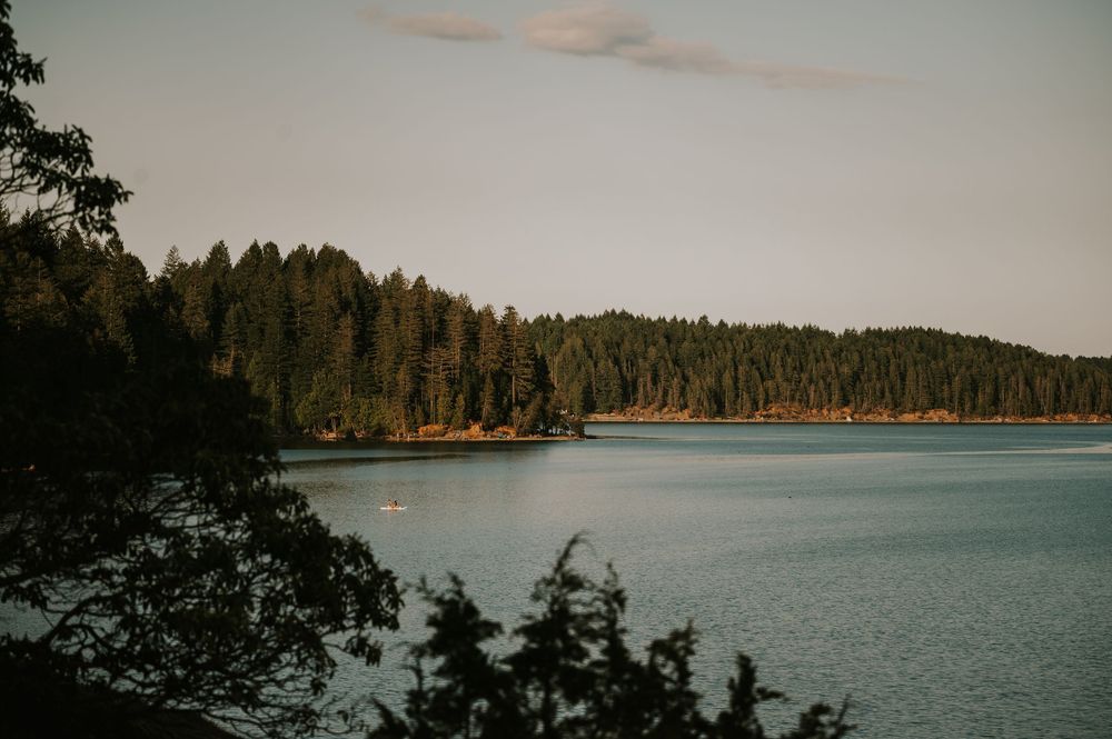 Beautiful image of Comox Lake from the Comox Bluffs during golden hour for engagement photoshoot