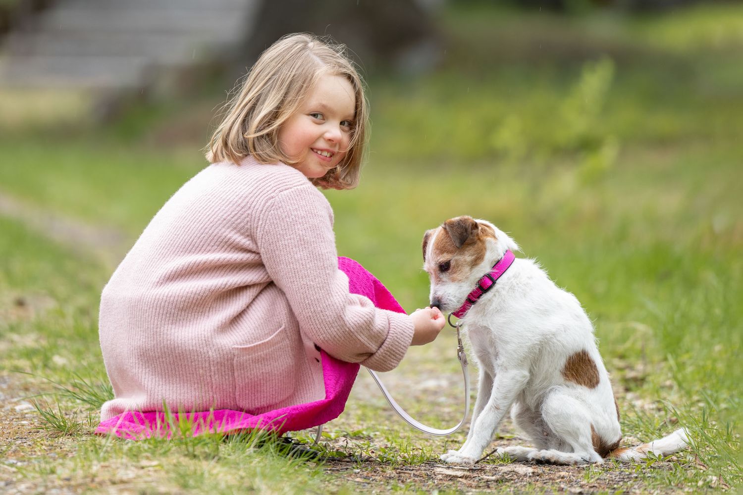 Pinkkiin pukeutunut tyttö syöttää valkoiselle terrierille herkkuja ulkona.