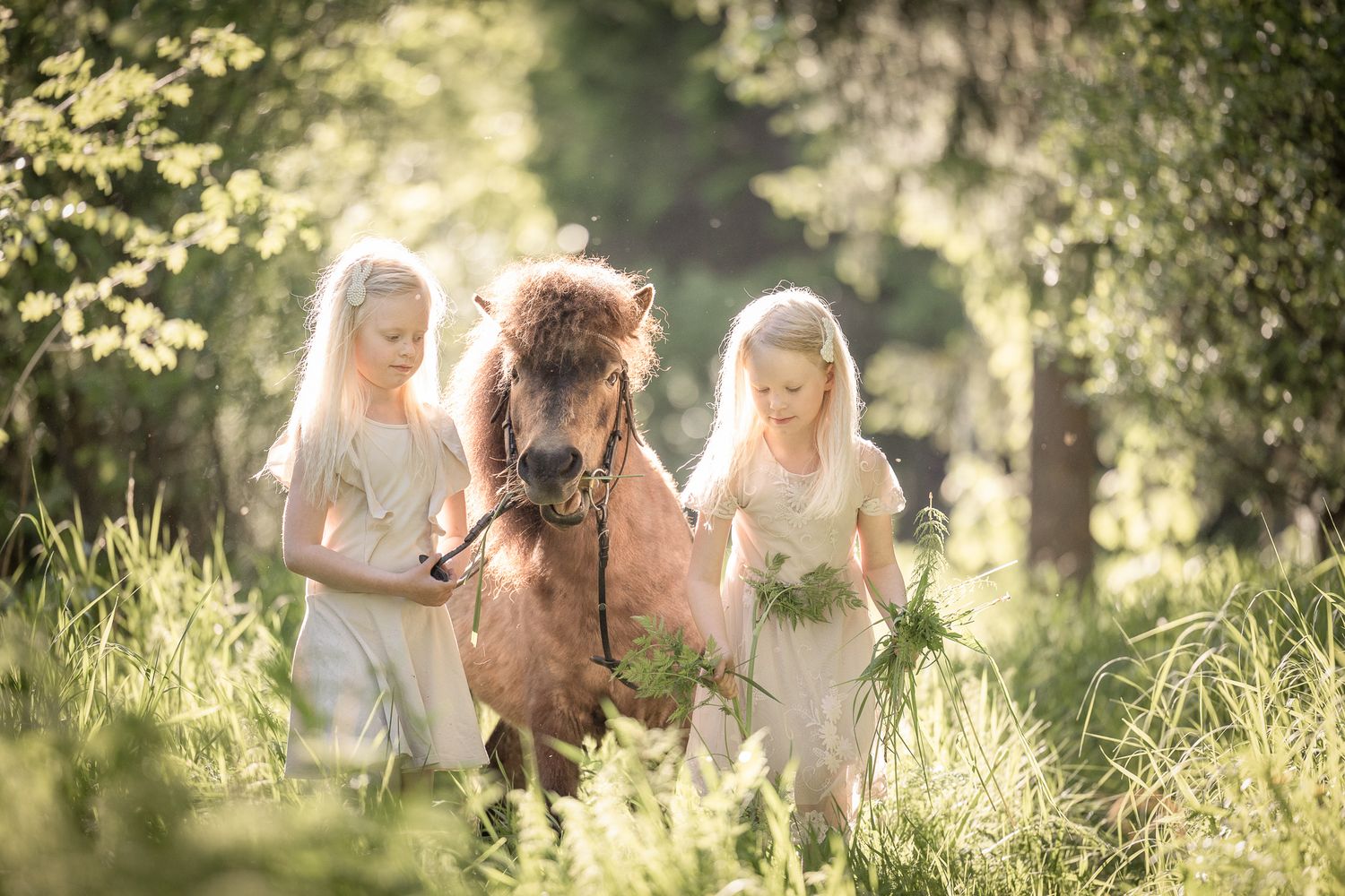 Vastavalokuva, kaksi tyttö ja poni heinikossa.