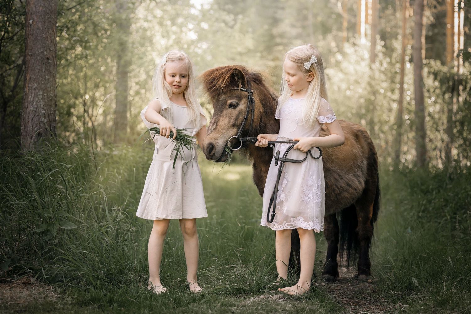Kaksi tyttöä syöttää ruskealle ponille heinää.