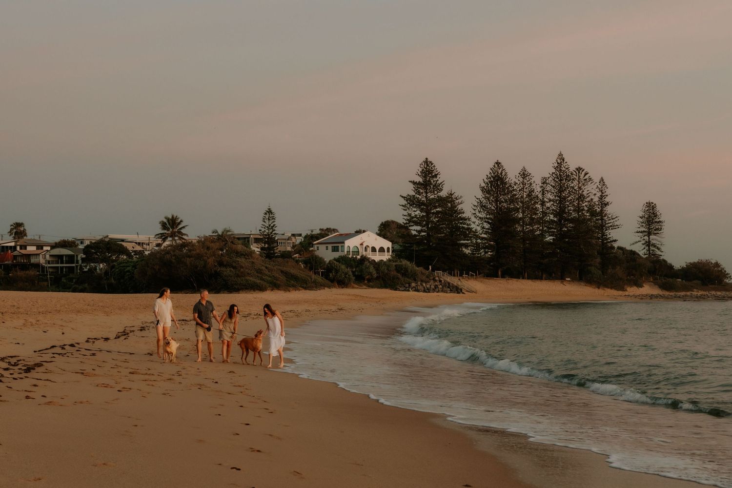 A group of people walking along a sandy beach at sunset with pine trees and coastal houses in the background.