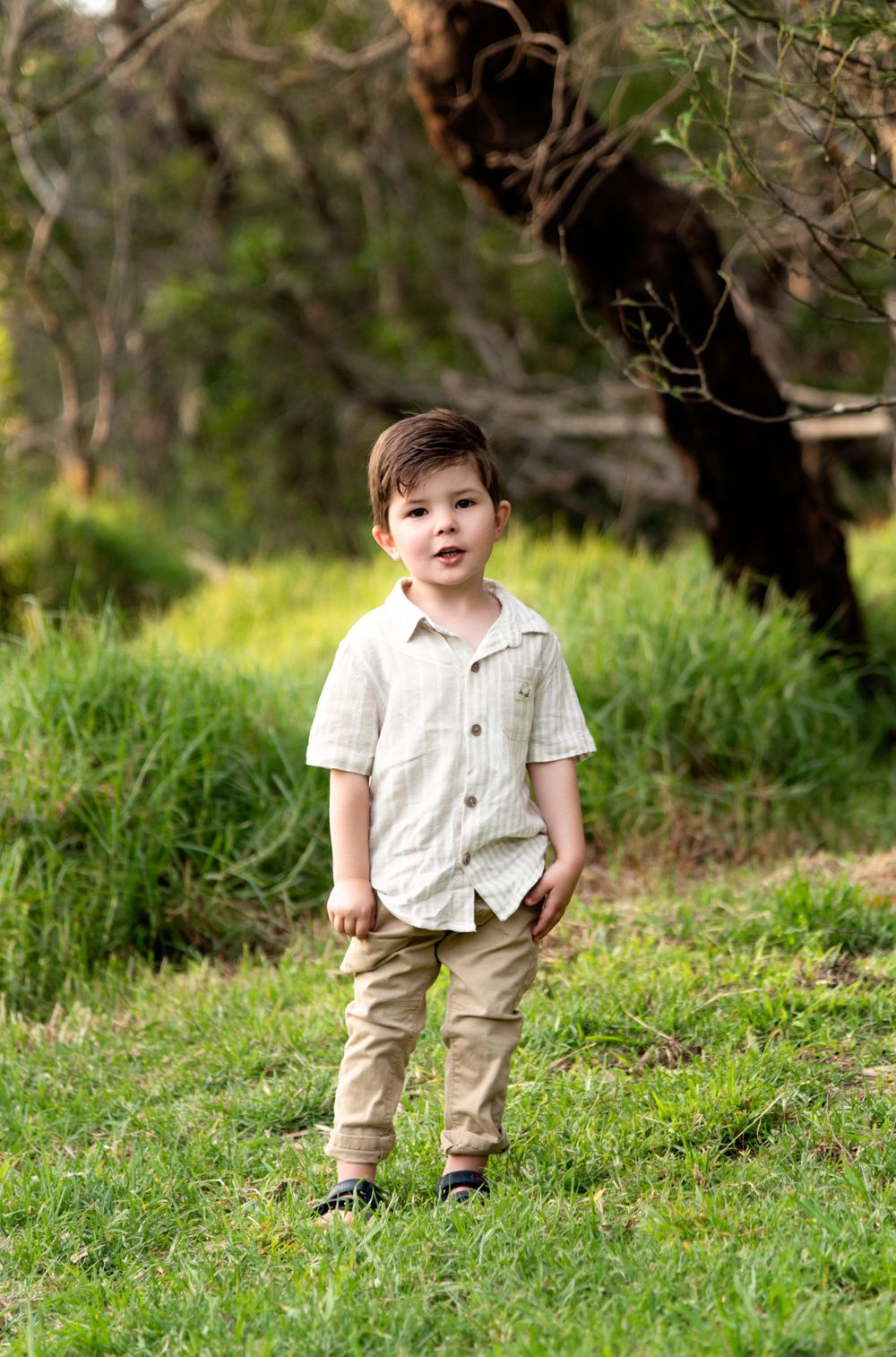Series showing toddler standing in green grass with trees in background.