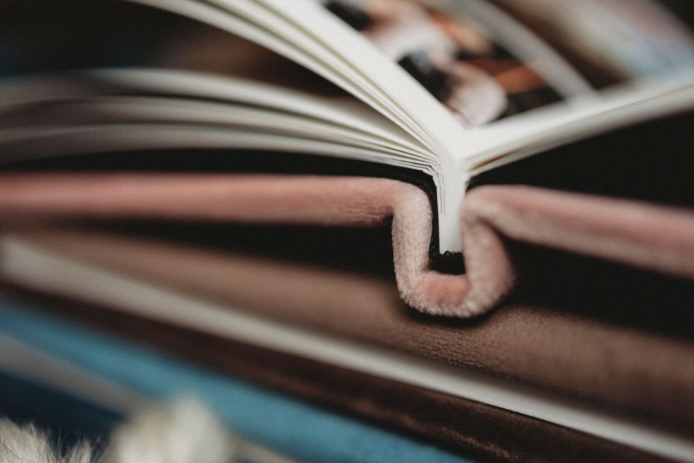 A close-up macro shot of an open book's spine and pages with soft focus background.