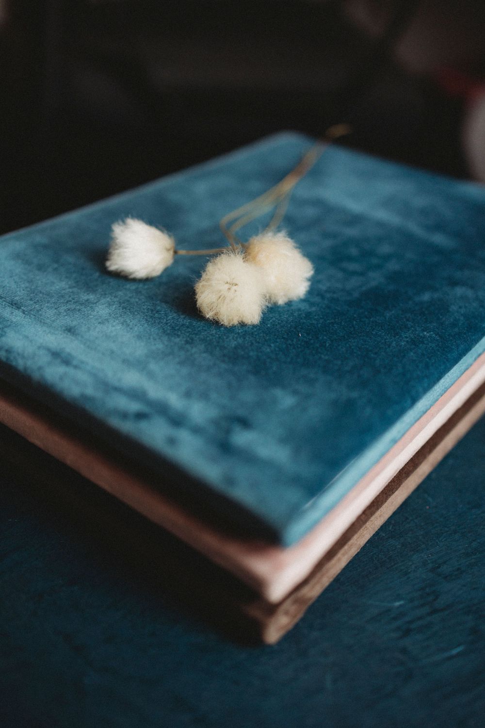 Two delicate white dandelion seed heads rest on a teal velvet book cover in moody lighting.