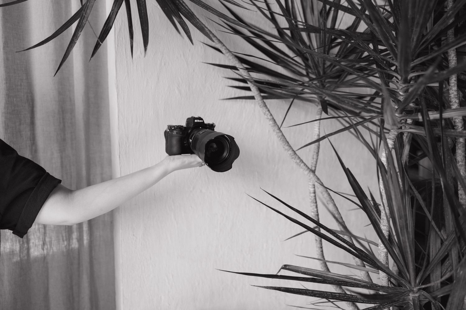 A black and white detail shot of a camera lens among tropical plant leaves.