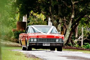 Classic vintage cars lined up on a tree-lined driveway.