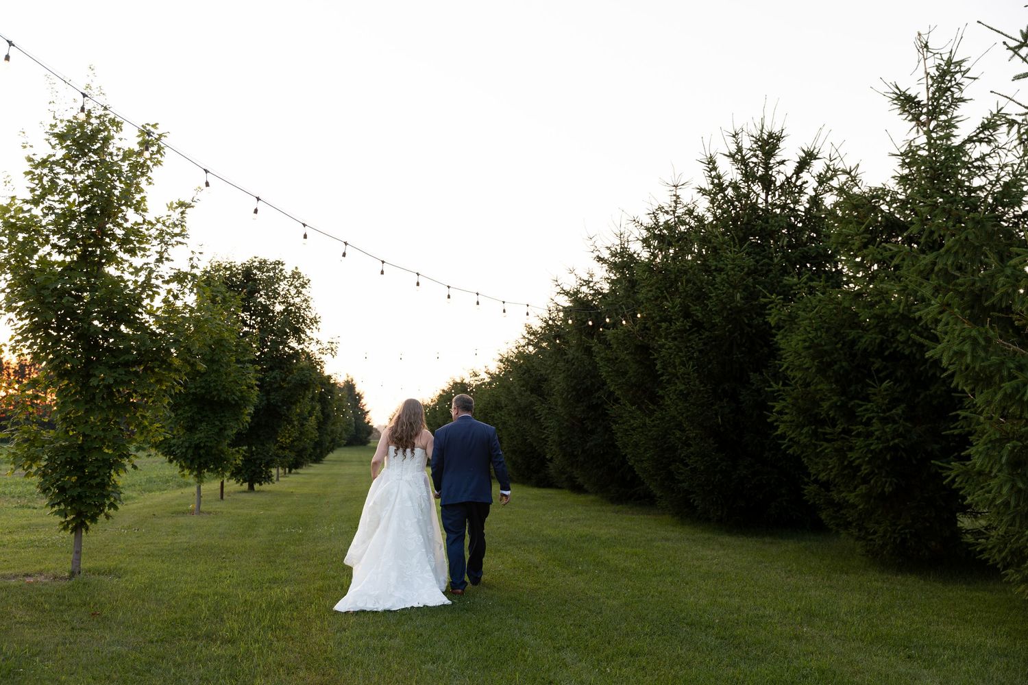 Bride and groom walking hand in hand through lush green garden path with string lights at sunset at barn swallow fields in guelph, ontario.