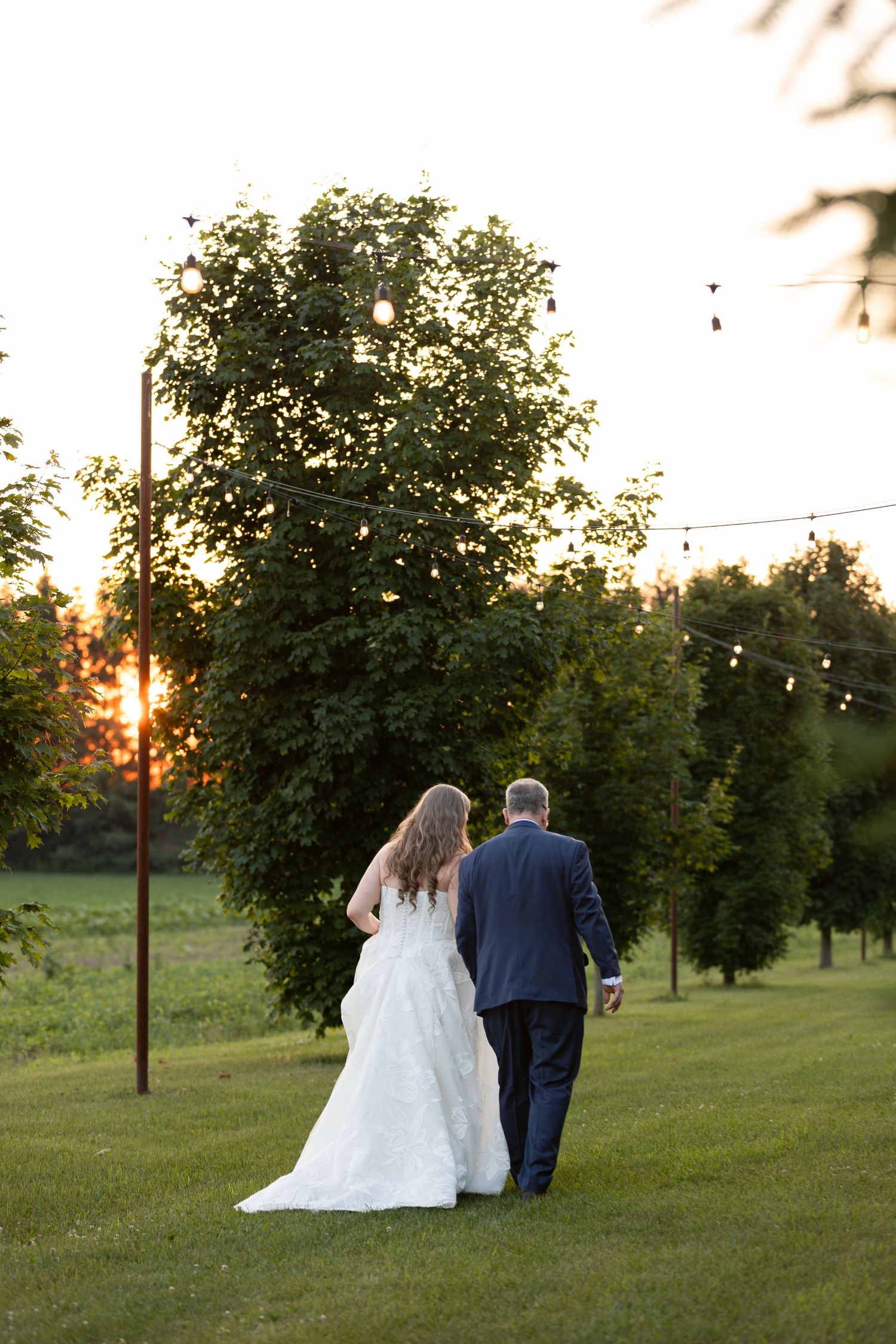Bride and groom walking hand in hand through green lawn at sunset with string lights and trees at barn swallow fields in guelph, ontario.