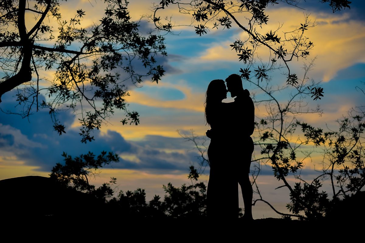 Silhouette of a romantic couple embracing under tree branches against a vibrant sunset sky at dusk.