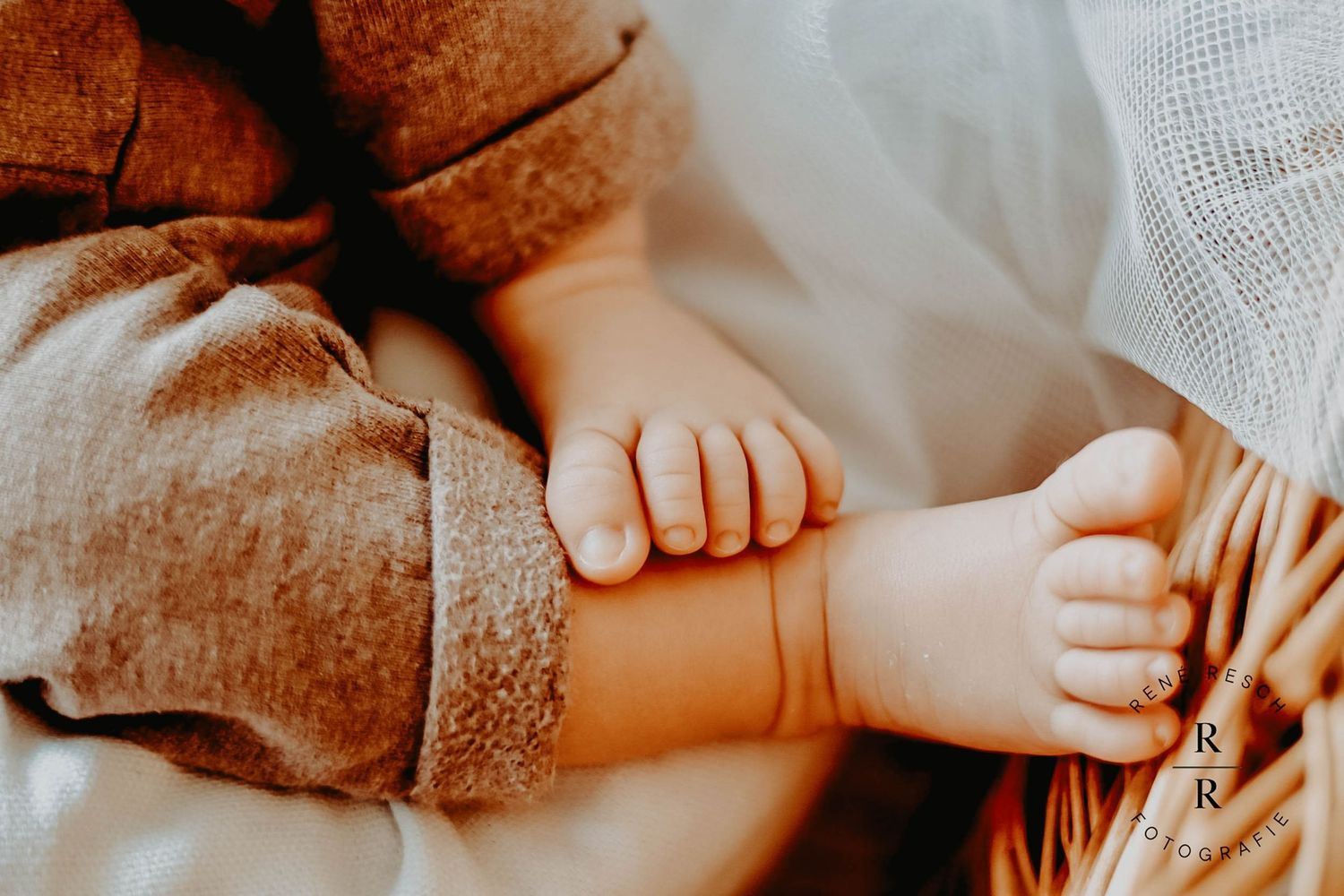 Close-up of a newborn baby's tiny hands and feet resting on a soft brown blanket in a professional portrait.