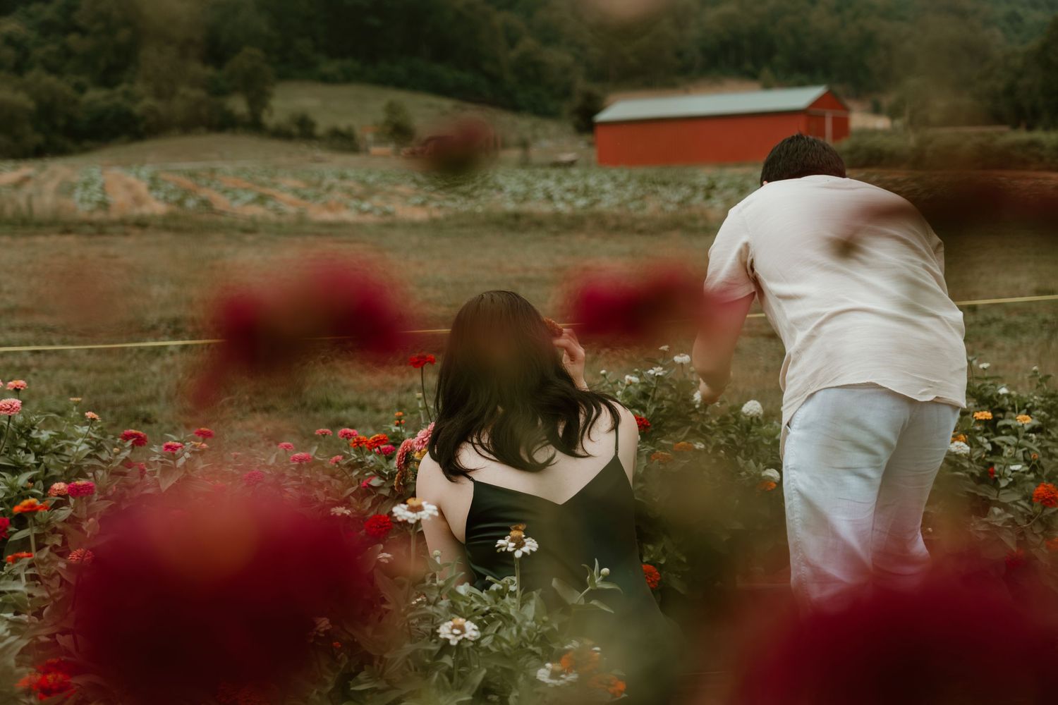 Couple among red and white flowers in a lush field with a red barn in the background.