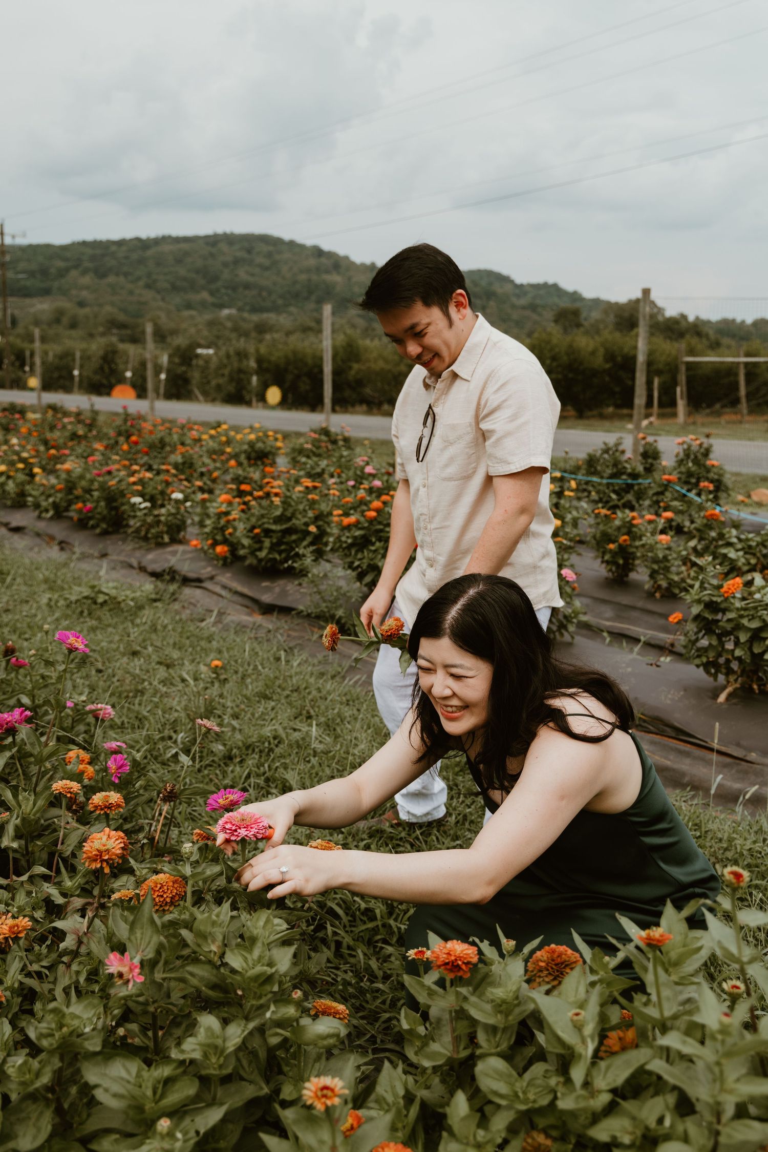 Couple joyfully picking colorful zinnia flowers in a garden with green hills in the background.