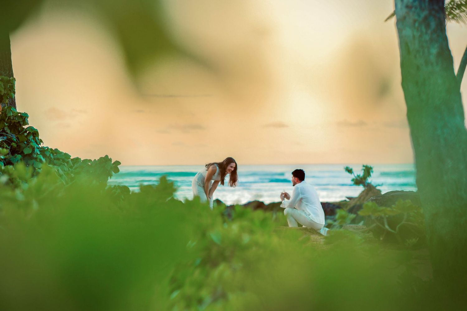 Man proposes to woman on a tropical beach at sunset surrounded by lush green foliage and turquoise ocean waves.