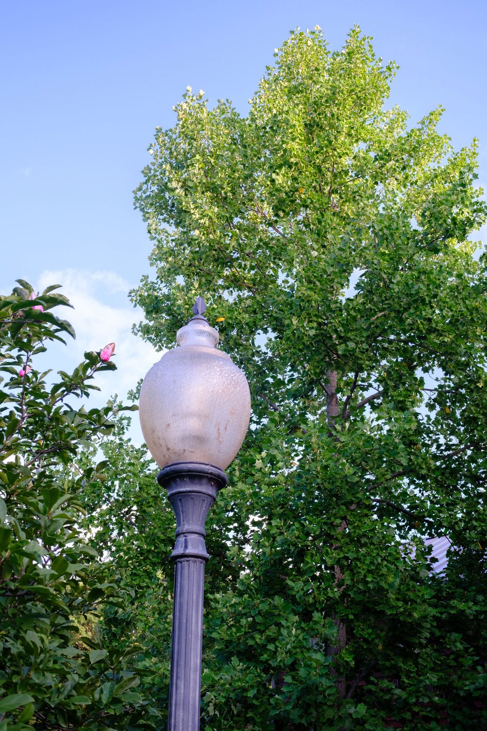 The Baltic Mill and Belvidere Park in Belvidere, IL. August 17, 2026. Photo: David Manning.
