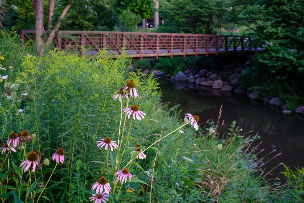 The Baltic Mill and Belvidere Park in Belvidere, IL. August 17, 2026. Photo: David Manning.