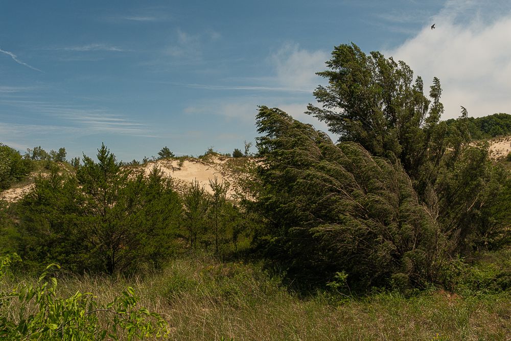 indiana-dunes-national-park-travel-photographer-photography-7534