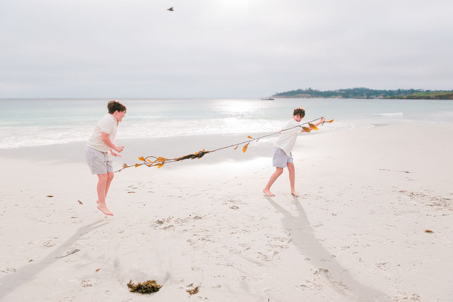 children playing with seaweed on a white sandy beach with  turquoise ocean waves in the background. Carmel-by-the-Sea family photographer