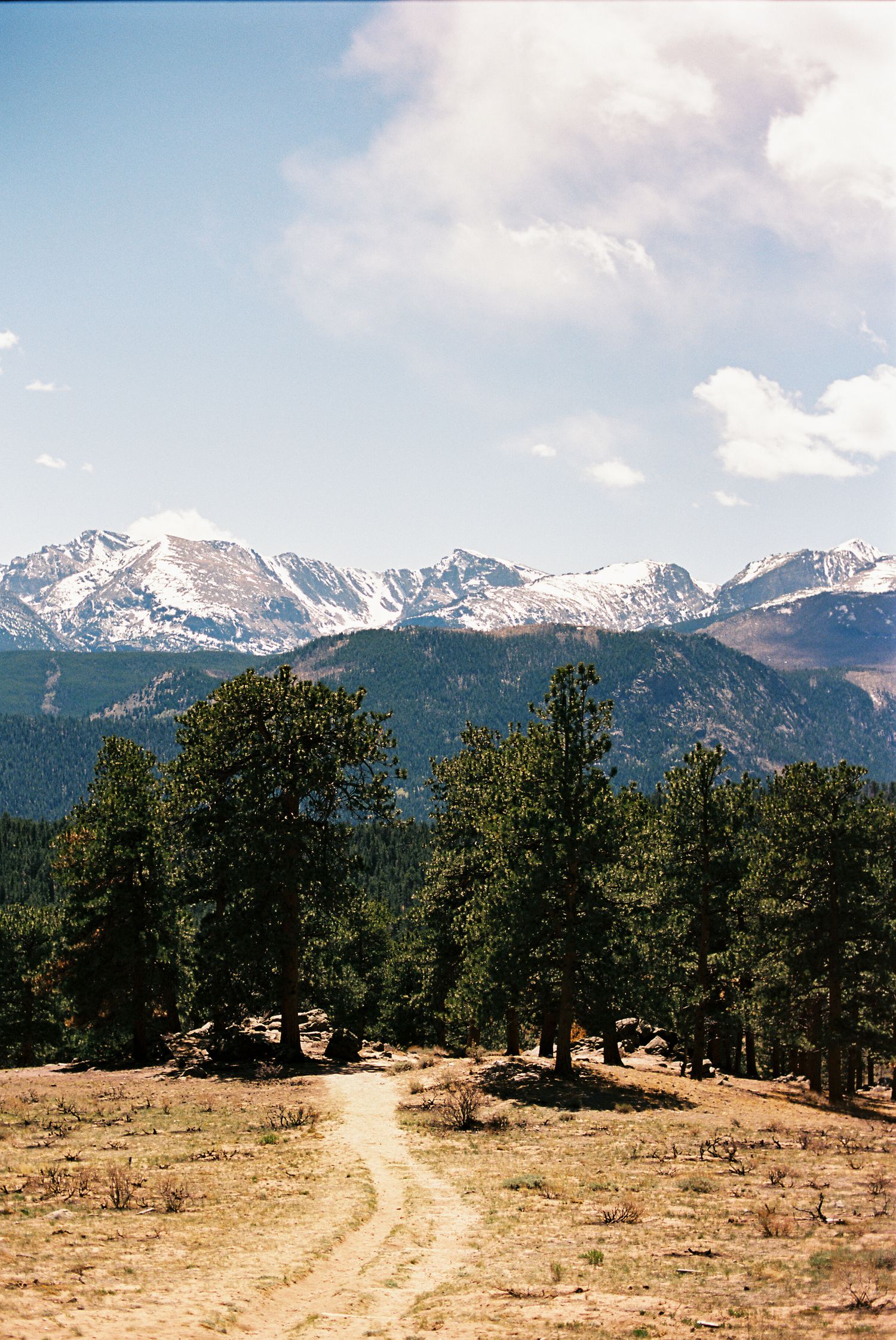 Dirt trail winds through pine trees toward snow-capped Rocky Mountains under partly cloudy blue sky.
