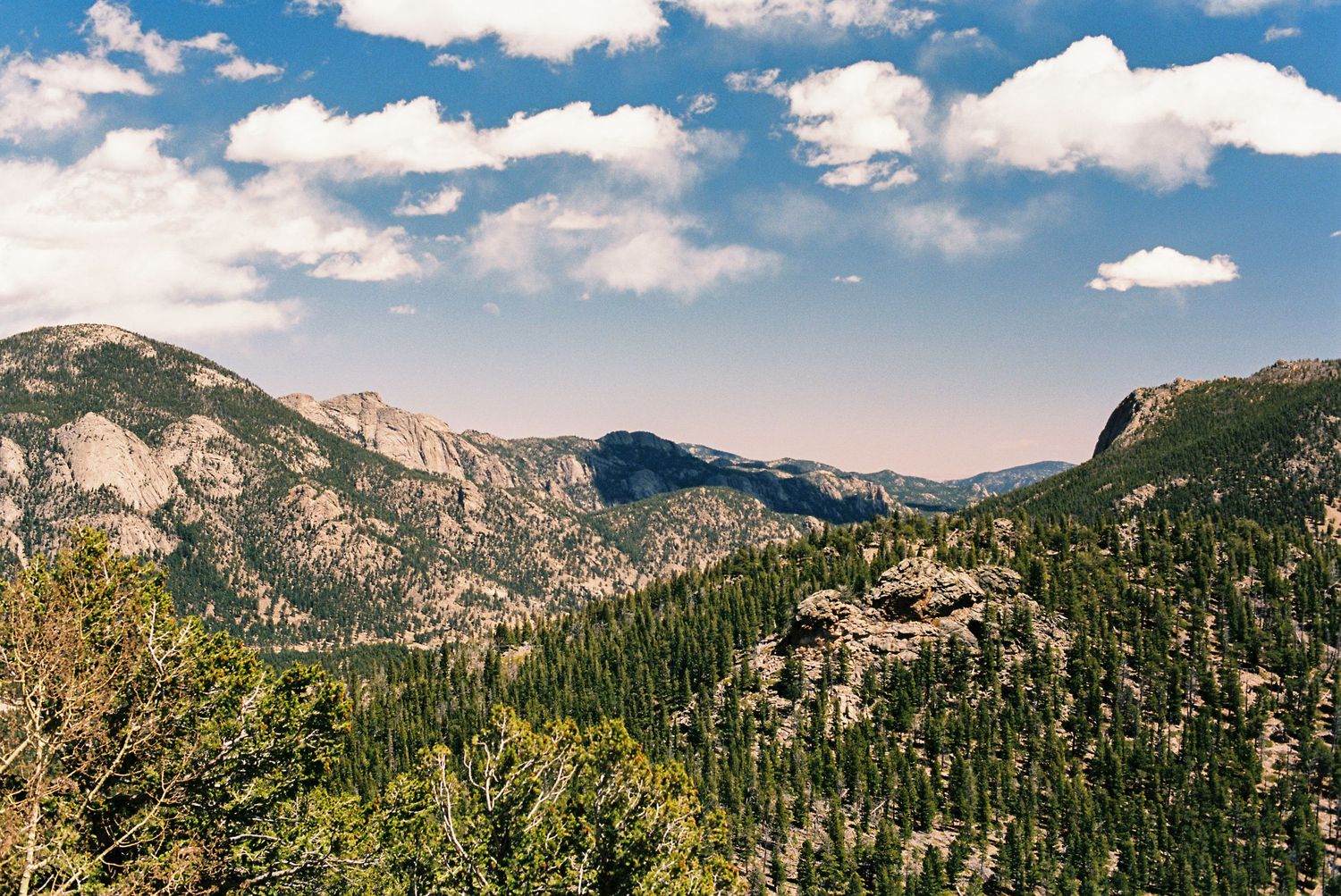 Panoramic mountain landscape with dense pine forests, rocky peaks, and blue sky with white clouds.