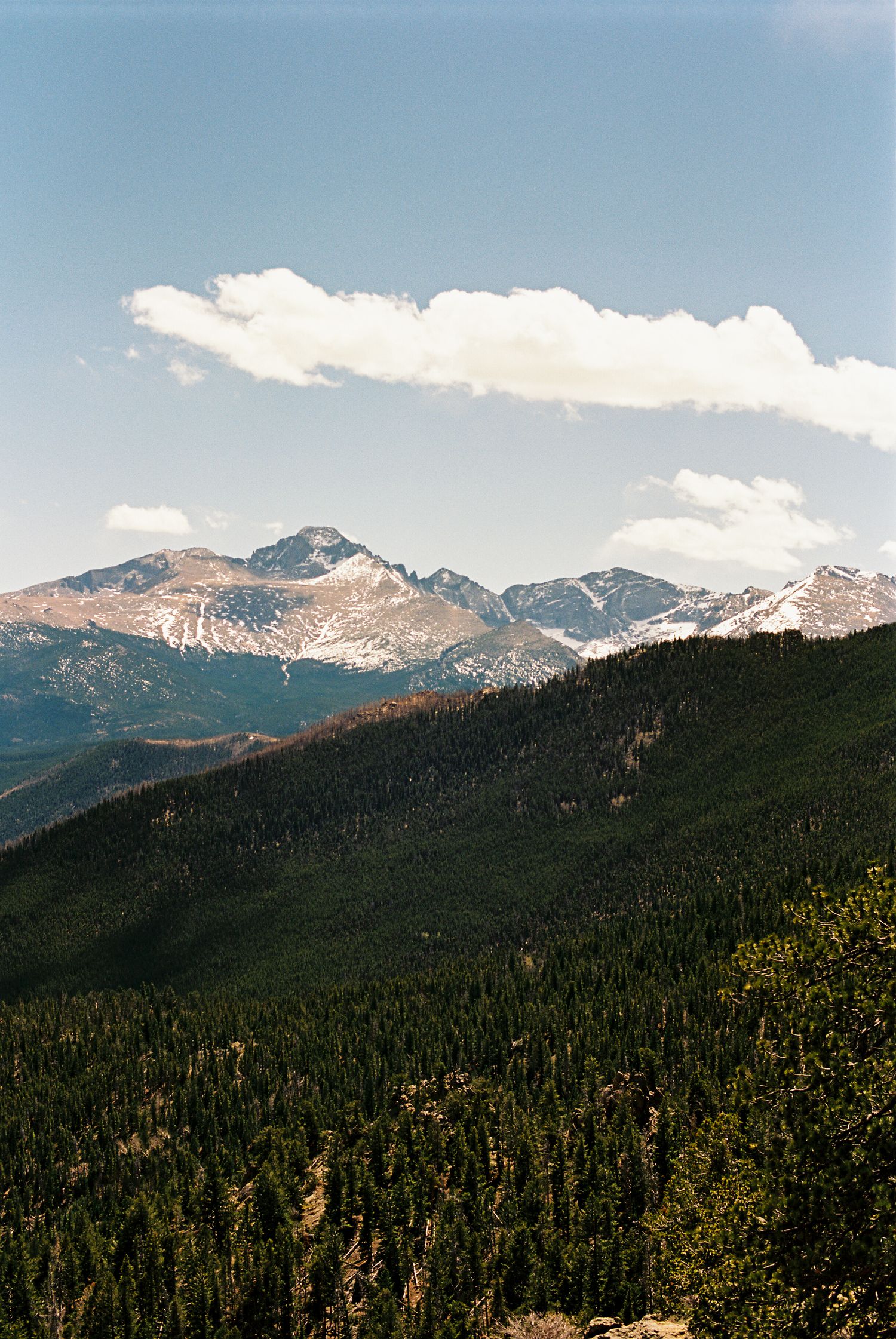 Snow-capped Rocky Mountain peaks rise above dense evergreen forests under a partly cloudy blue sky.