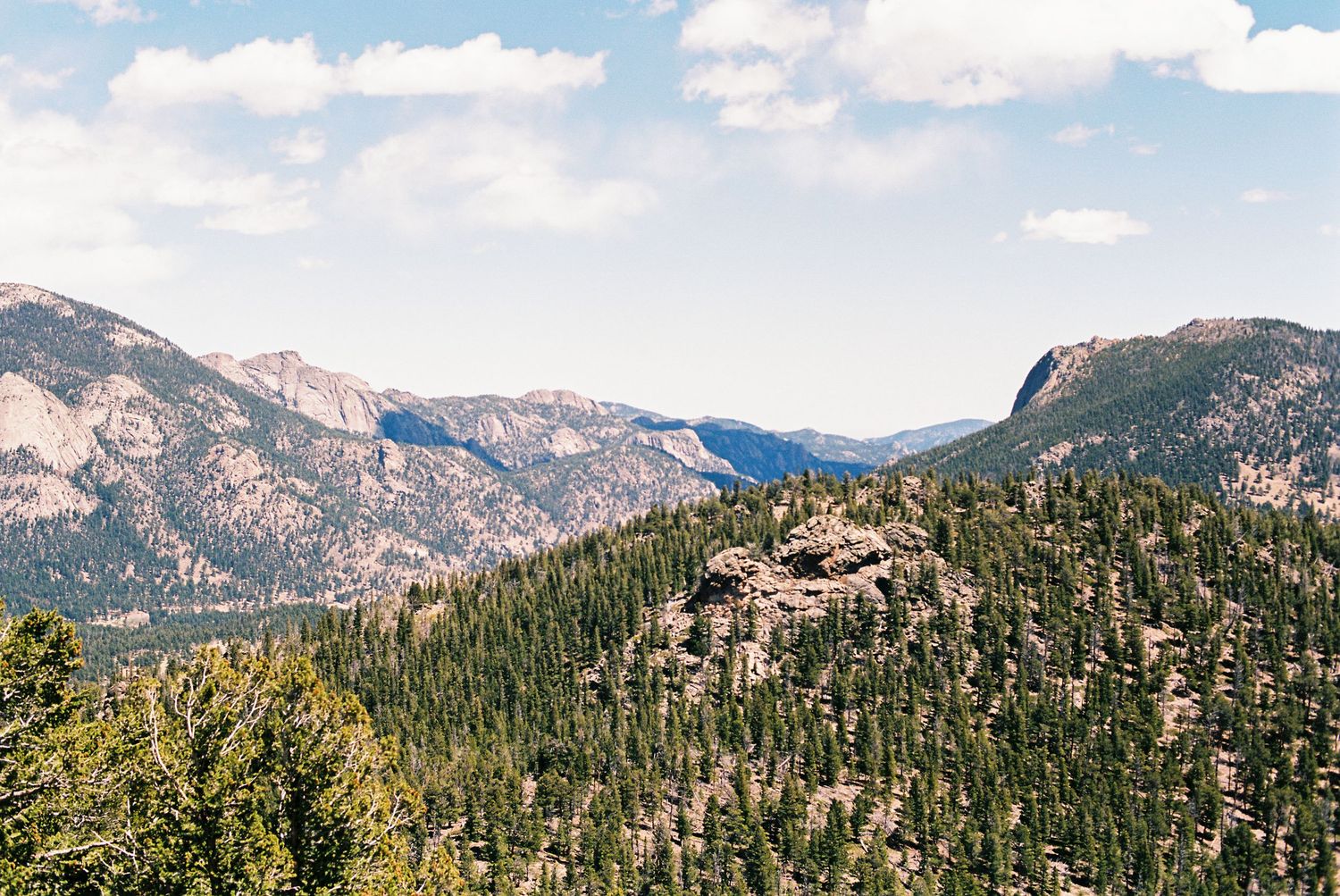 Rocky Mountain forest landscape with dense pine trees, rugged peaks, and blue sky with clouds in background.