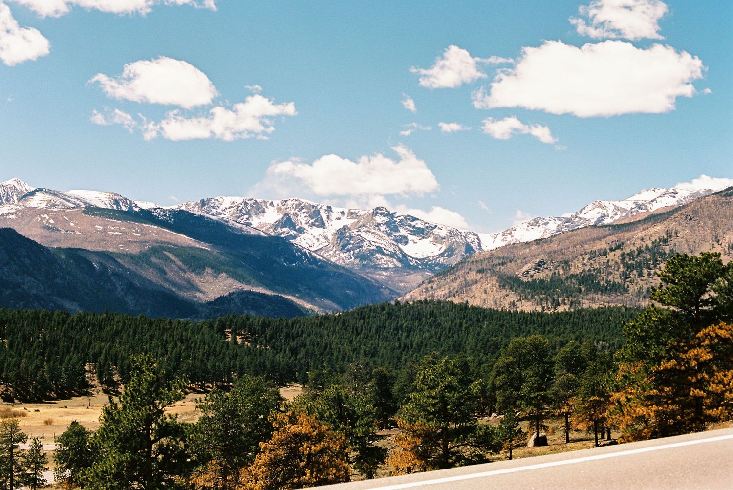 Snow-capped Rocky Mountains rise above dense pine forests under a blue sky with white clouds along a scenic highway.