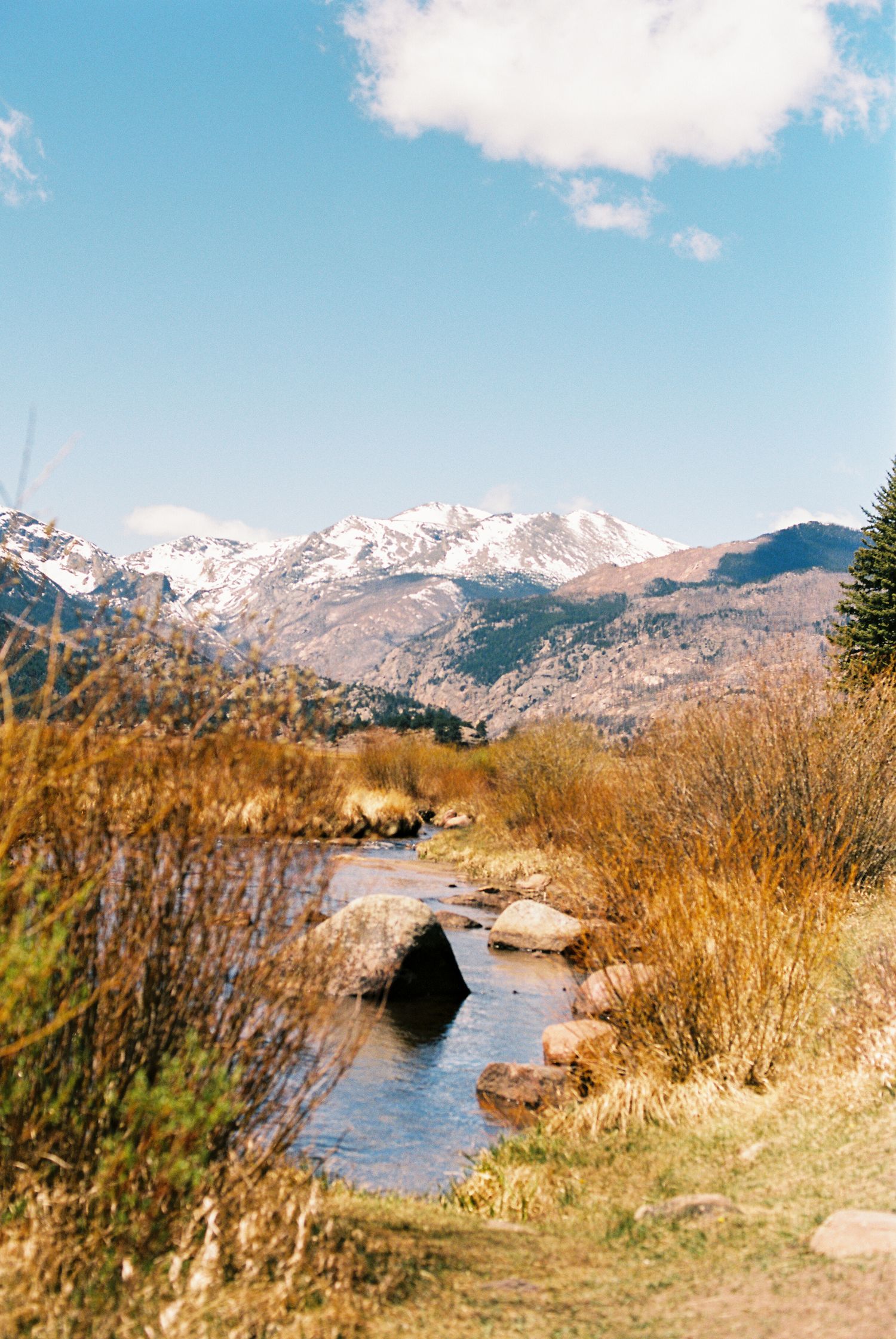 Snow-capped mountains rise behind a serene stream with golden grasses and rocks under a bright blue sky.