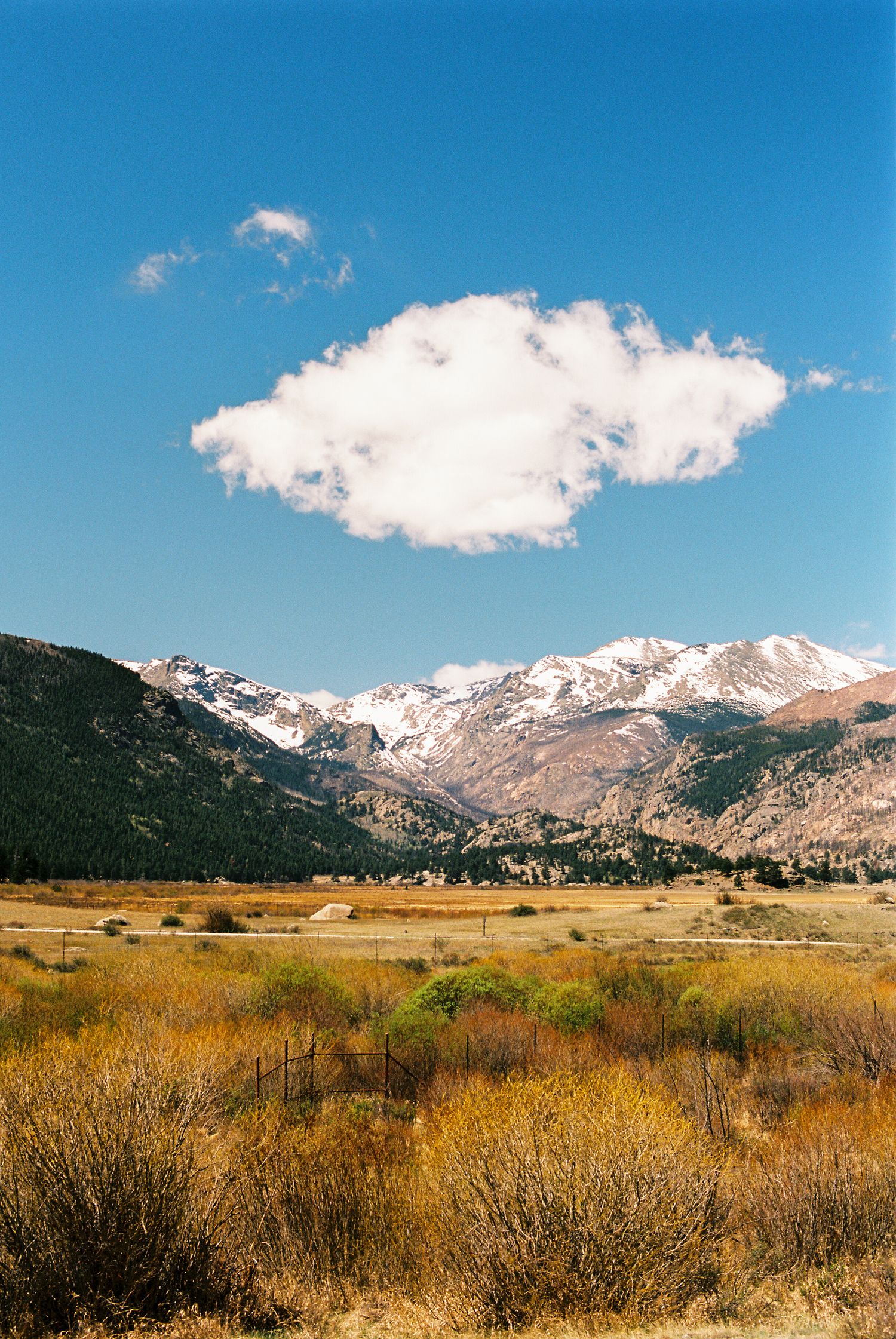 Snow-capped Rocky Mountains rise above golden autumn meadows under a bright blue sky with a single white cloud.