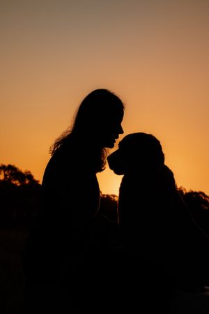 Silhouette of a woman and her dog facing each other against a warm golden sunset sky.