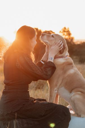Woman tenderly holds golden Labrador's face during golden hour sunset at Rouse Hill Regional Park, sharing a loving moment with her dog.