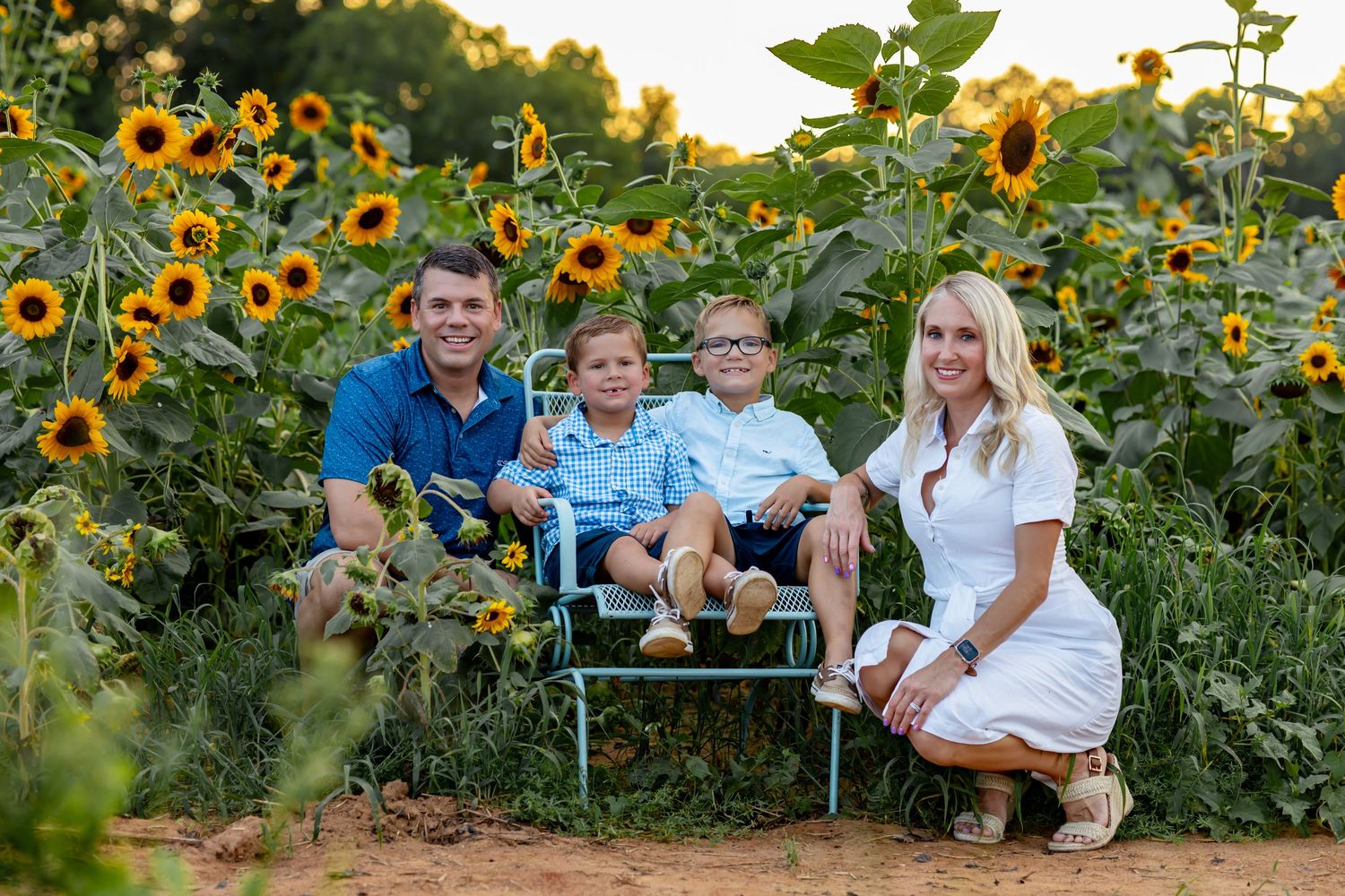 Family of four posing in a vibrant sunflower field, two boys sitting on a bench with parents beside them.